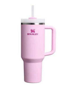 40oz Stanley Tumbler Cherry Blossom Pink RARE NWT BNIB